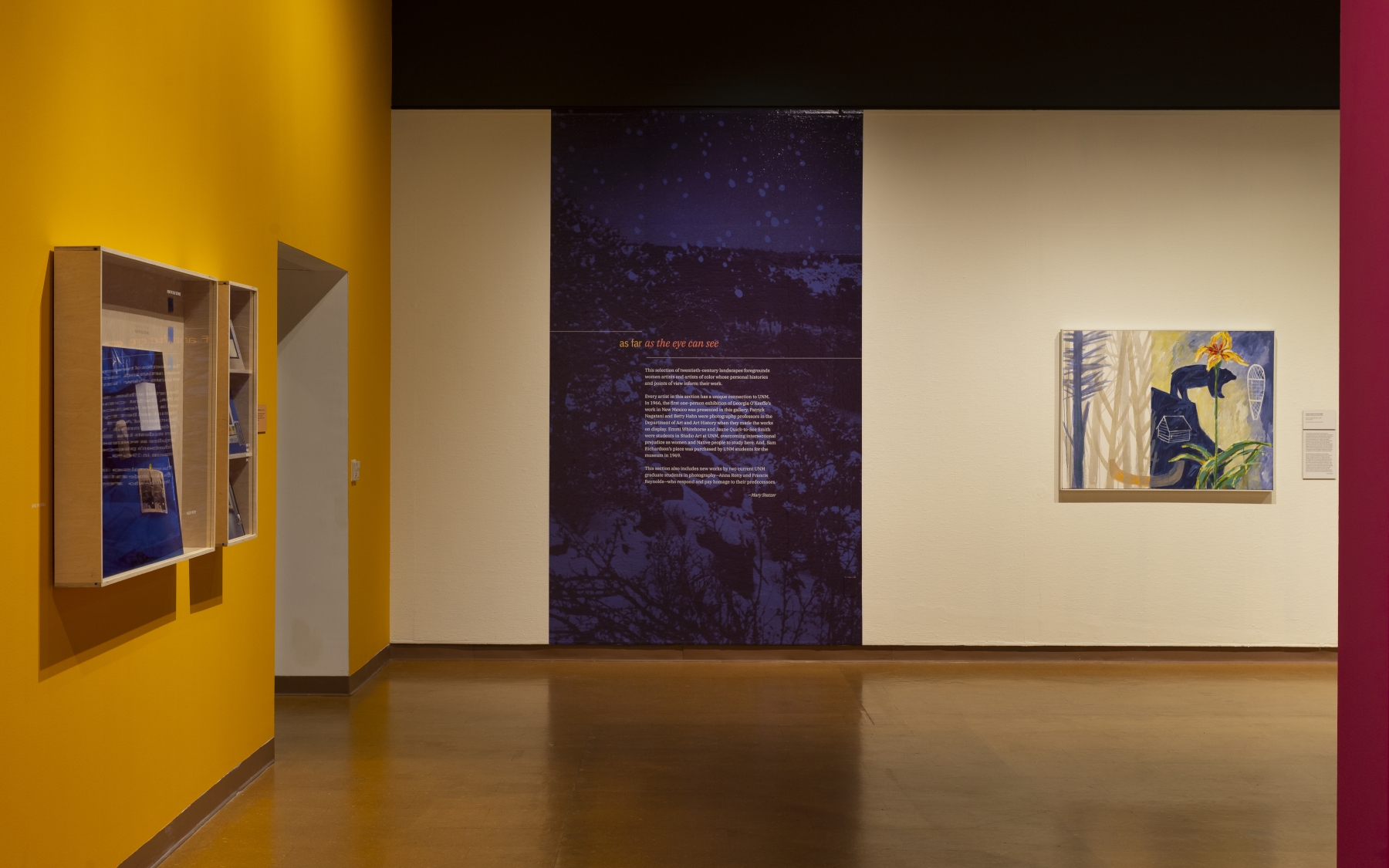 Hindsight Insight 2.0: Portraits, Landscapes, and Abstraction from the UNM Art Museum