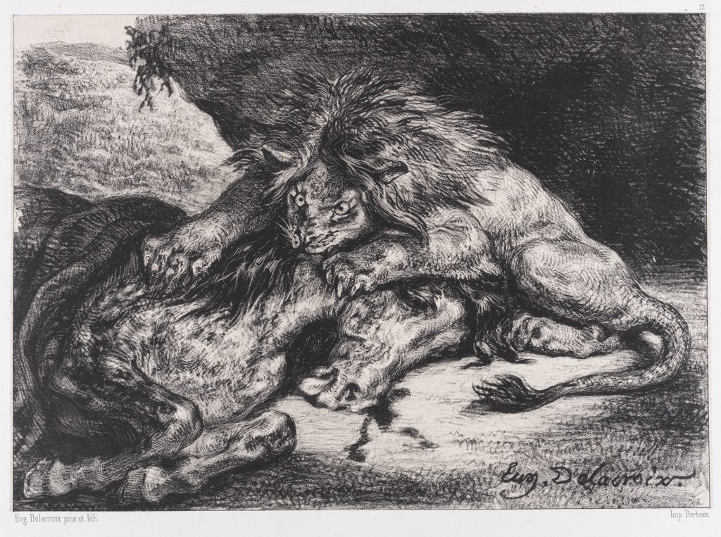 A black and white print depicting a menacing lion devouring a horse.
