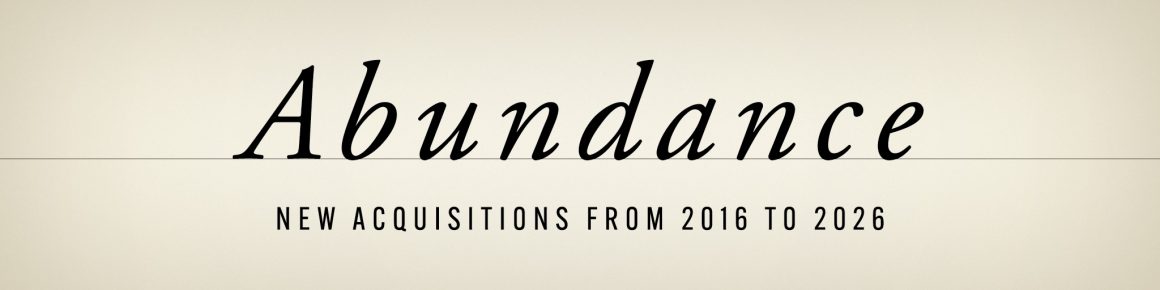 Abundance_2048×512 Abundance: New Acquisitions from 2016 to 2026